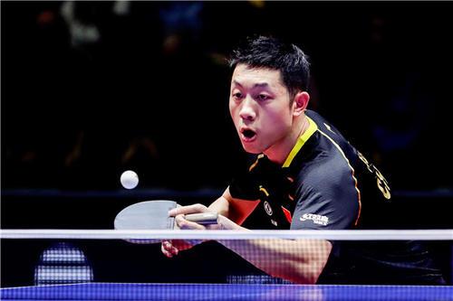 展示了球队 展示了球队