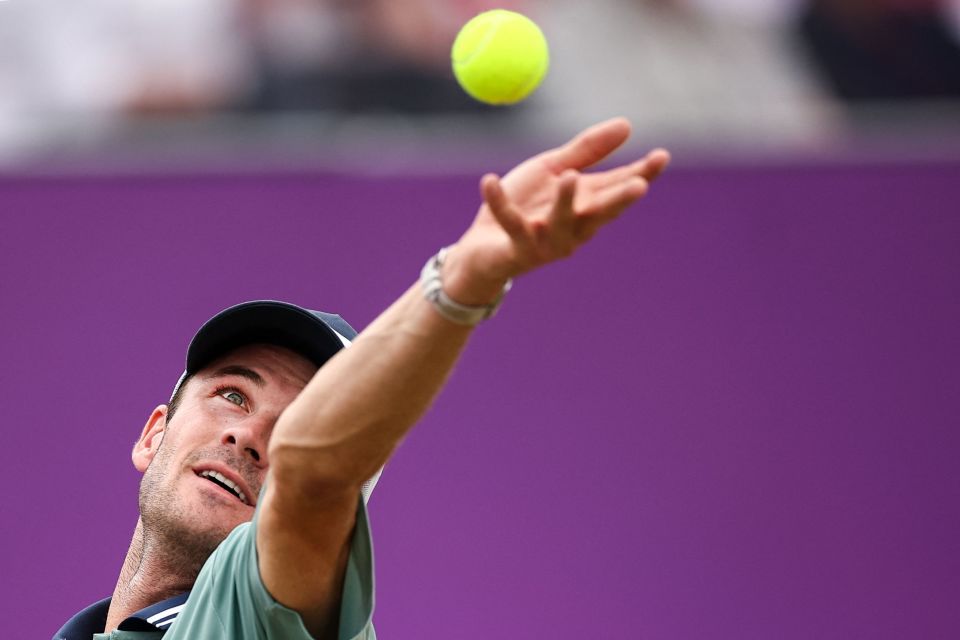 更多可能的 更多可能的