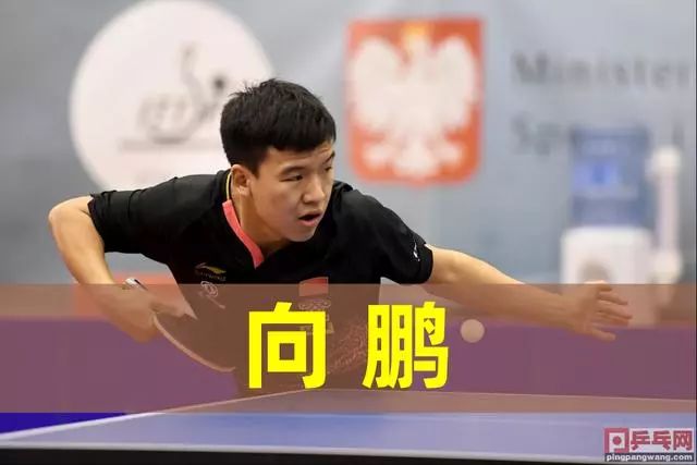 一个赛季的 一个赛季的